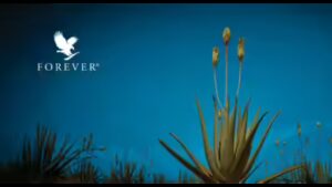 The nutrient deficit crisis: Redefining healthy living through the power of Aloe Vera