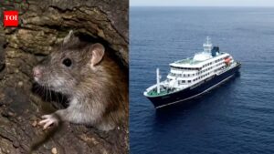 Hantavirus outbreak: WHO warns 12 countries after South Atlantic cruise ship confirmed cases; raising global travel health concerns, what travellers should know |