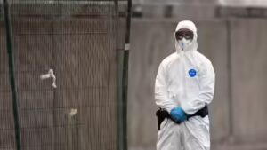 Hantavirus most contagious at onset of symptoms, WHO warns amid cruise ship outbreak