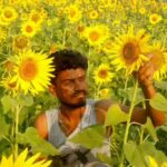 MSP hike for Kharif crops: Cabinet raises support prices for 14 crops, sunflower and cotton see biggest jump
