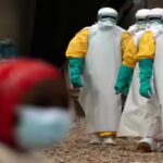 Ebola virus outbreak: WHO declares international health emergency after rare strain kills 87 in Congo