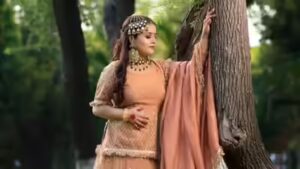 How Canada-based ‘suitor’ planned Punjabi singer Inder Kaur’s murder, fled India the same night