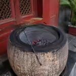 ‘Started barking at him’: Chandigarh man arrested for throwing puppy into burning tandoor | India News
