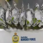 Indian national arrested after $5.6 million meth-making chemical found hidden in food consignment at Sydney port