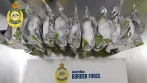 Indian national arrested after $5.6 million meth-making chemical found hidden in food consignment at Sydney port