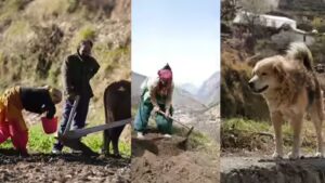 Feature: ‘Beauty alone cannot feed family’ – why Uttarakhand’s villages are falling silent | Dehradun News