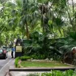 Government asks Gymkhana Club to hand over premises, cites national security needs | India News