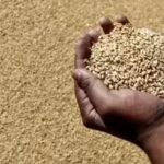 2025-26 foodgrain production estimated at record 376 MT