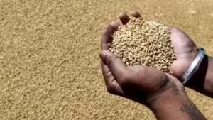 2025-26 foodgrain production estimated at record 376 MT