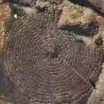 A 2,000-year-old stone maze discovered in India could change what we know about ancient Rome links