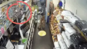 Woman Killed In Us Store Shooting: Gujarat woman shot dead in US store; chilling CCTV footage emerges | Ahmedabad News