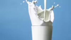 Kerala milk cooperative giant Milma to raise prices by Rs 4 per litre from June 1, fuel and production costs cited