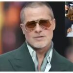 Brad Pitt skips estranged daughter Zahara’s college graduation; Angelina Jolie attends ceremony with sons Knox, Pax and Maddox