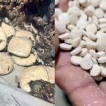 India’s first ‘jihadi drug’ seizure: NCB busts Rs 182 crore Captagon racket in Delhi