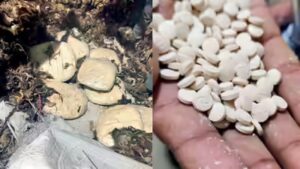 India’s first ‘jihadi drug’ seizure: NCB busts Rs 182 crore Captagon racket in Delhi