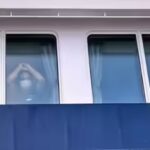 Hantavirus: Hantavirus scare: British passengers evacuated from virus-hit cruise ship to isolate for 45 days