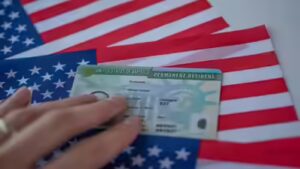 ‘Took me 8 years to get a Green Card’: Indian-origin investor’s immigration journey draws flak
