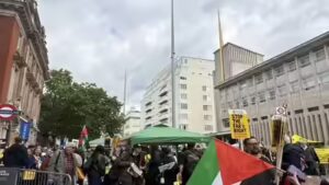 London: Man held after van injures pedestrian during protests over removal of flags in Birmingham