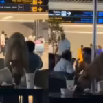 Stray dog spotted inside Hyderabad airport lounge, video goes viral; RGIA responds | Hyderabad News