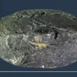 This ancient bullet carried a secret 2,100-year-old Greek word that shocked experts worldwide revealing ‘sarcastic’ war message