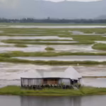 This mysterious floating lake with circular islands in India is also home to one of the world’s longest snakes