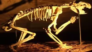 In 2002, cavers found a hidden skeleton that revealed an ancient Australian predator |