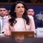 US spy chief Tulsi Gabbard resigns under pressure from White House: Report