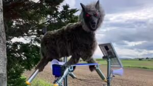 Why Japan’s terrifying “robot wolves” are in demand amidst bear attacks |