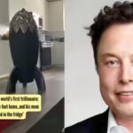 Elon Musk becomes the world’s first trillionaire: He lives in a 400 square feet home, and his mom reveals, ‘There is no food in the fridge’