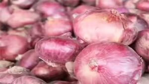 Maharashtra onion farmers demand Rs 3,000/quintal, say relief measures fall short