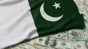 Pakistan eyes higher donkey meat, other related products export to China
