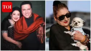 Govinda’s wife Sunita Ahuja reveals who will inherit her property, and it’s not nephew Krushna Abhishek | Hindi Movie News