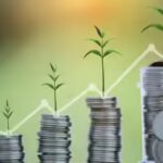 MFI portfolio shrinks 17% in FY24, shows signs of stabilization in Q4