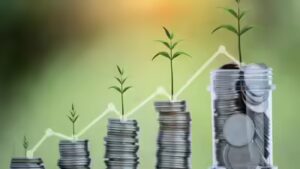MFI portfolio shrinks 17% in FY24, shows signs of stabilization in Q4