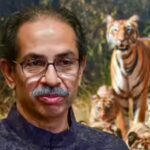 Uddhav Thackeray’s show of strength falls flat; only 3 of 9 MPs attend parliamentary meeting despite whip | India News