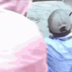 Watch: Mumbai mayor inspects flood-hit Gandhi Market, BMC staffer falls into pothole right in front of her | Mumbai News