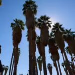 Dangerous heatwave to grip US during July 4 weekend, World Cup knockout stage