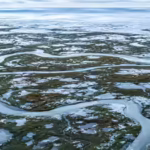 Arctic alarm: Earth’s frozen carbon stores in the Arctic may stop absorbing CO2 and start releasing it by the 2050s |
