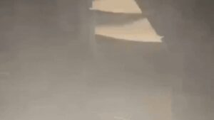 Watch: SriLankan Airlines flight with over 200 onboard hit by lightning; lands back safely in Colombo