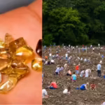 At this US park, visitors have found over 37,000 diamonds since 1972 and can keep every gem they discover | World News