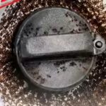 E20 petrol attracts ants? BPCL responds to viral claim, explains matter
