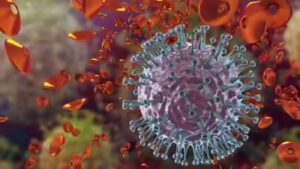 Flu kills 1.2 lakh/year in India, senior citizens bear the brunt | India News