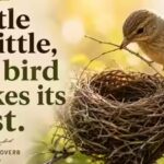 French proverb of the day: ‘Little by little, the bird makes its nest’ — a lesson on why slow, steady effort builds the strongest foundations