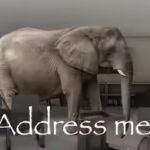 Indonesian proverb of the day: ‘An elephant at the edge of the eye is not seen, but an ant across the ocean is seen’ — Why we notice others’ faults more than our own
