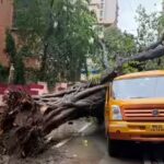 Mumbai rains: Falling tree crushes school van in Chembur, 5 students hospitalised | India News