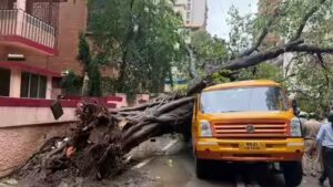 Mumbai rains: Falling tree crushes school van in Chembur, 5 students hospitalised | India News