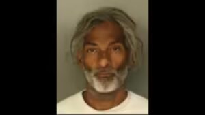 Who is Hector Delion, Penn Station stabbing suspect arrested after 5 people were injured?