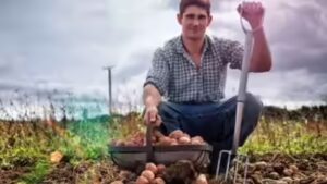 German proverb of the day: ‘The stupidest farmers have the biggest potatoes’ — a witty reminder that success doesn’t always go to the smartest people