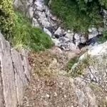 Army officer dies after falling into gorge during anti-terror operation in J&K’s Rajouri | India News