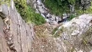 Army officer dies after falling into gorge during anti-terror operation in J&K’s Rajouri | India News